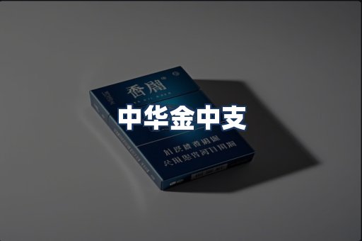 中华金中支